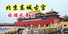 黑人大黑鸡巴操骚逼逼中国北京-东城古宫旅游风景区